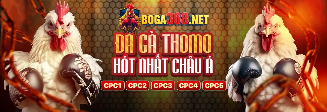 Chương Trình Đại Lý SV8888 Kiếm Tiền Trực Tuyến